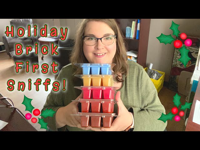 Scentsy Holiday Bricks FIRST SNIFFS AND Small Clearance Haul!!!