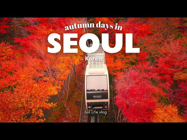 Autumn in Seoul, Korea VLOG | best autumn foliage spots, Hwadan Forest, cafes with view, home baking