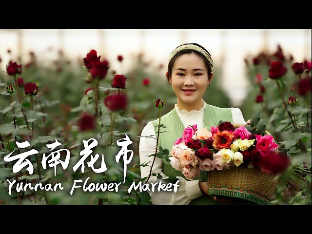 Apenjie's Vlog - Taking you on a tour of the most romantic flower market in Yunnan!