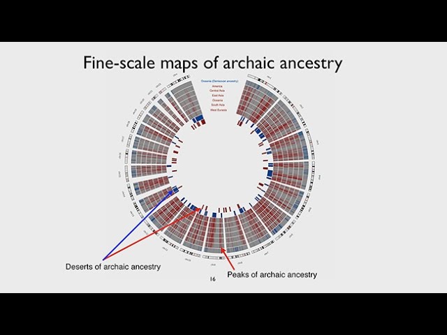 CARTA: Ancient DNA and Human Evolution – The Landscape of Archaic Ancestry in Modern Humans