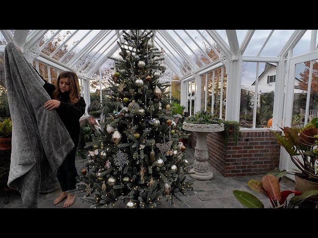 Setting Up & Decorating the Hartley Christmas Tree! 😍🎄🥰 // Garden Answer