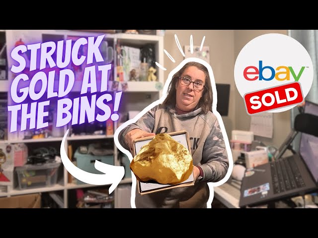 🤯 EPIC Unmarked Bin Find Worth $300+! | Full Time eBay Reseller | What Sold