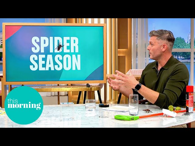 How to Keep Giant Spiders Out of Your Home This Mating Season | This Morning