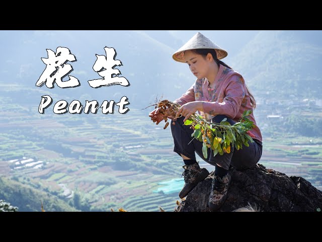 Food Made from Colorful Peanuts - Mutton Hot Pot with Peanut Butter【Dianxixiaoge】