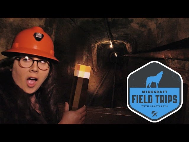 RIDING IN A MINE CART ⛏ - THE MEGA TAIGA