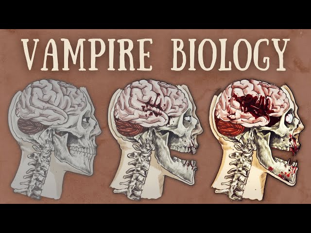 Vampire Biology Explained | The Science of Vampirism