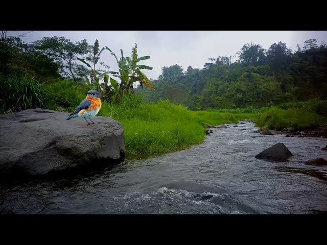 🏔️ Pure Mountain River | Crystal Clear Water Sounds | 4K Nature Relaxation