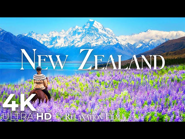 New Zealand 4K - Horizon View | Scenic Relaxation Film - Video Ultra HD