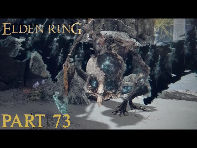 Elden Ring Walkthrough Part 73: Death Rite Bird [Snowfield]