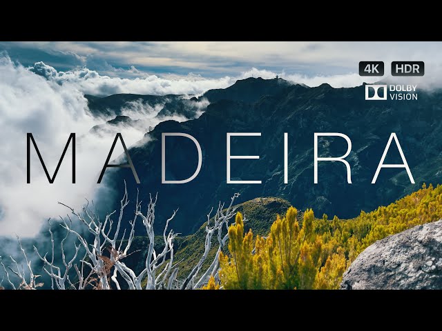 Madeira 4K Dolby Vision