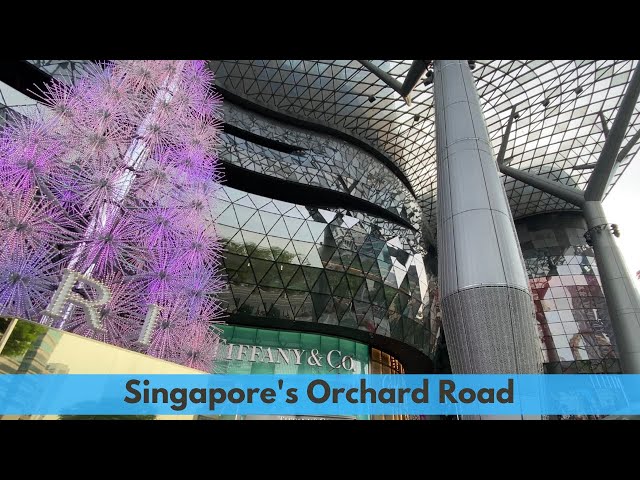 Walking Singapore's Orchard Road! 4K