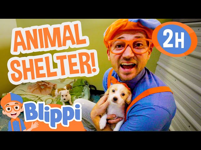 Blippi Cares after Cute Animals in the Animal Shelter! | 2 HOURS OF BLIPPI TOYS!