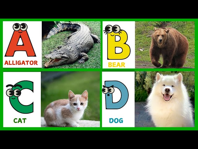 ABC Phonics  Song | Learn ABC Alphabet with Animals for Kids