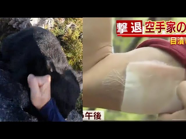 On camera: Martial artist defends himself against a bear