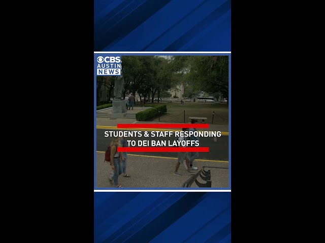 UT Austin grapples with fallout from Texas DEI ban