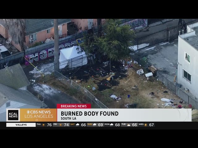 Dead body discovered after tree fire in South LA