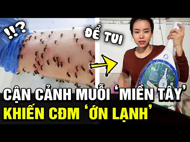 Ớn lạnh vì cảnh 'MUỖI BAY THÀNH ĐÀN', cô gái liền nghe theo lời cđm và cái kết cực Chill | TB Trends