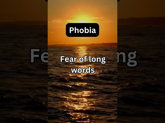 Phobia Files: Phobia of the Day