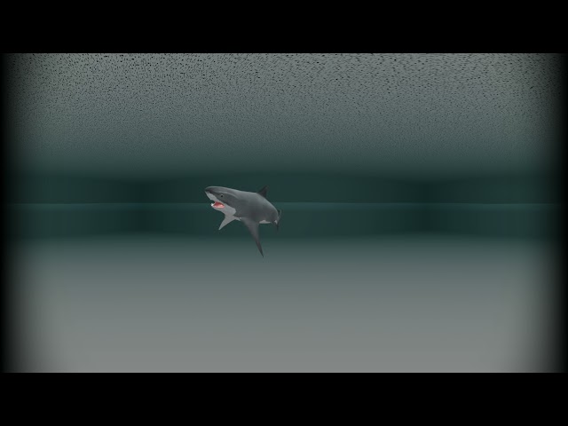 VR180 Simple Shark Animation Blender EEVEE