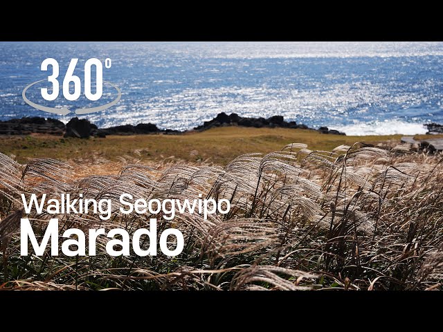 [360° VR Walking Tour] Autumn in Marado Island, the southernmost tip of Korean Peninsula. | Seogwipo