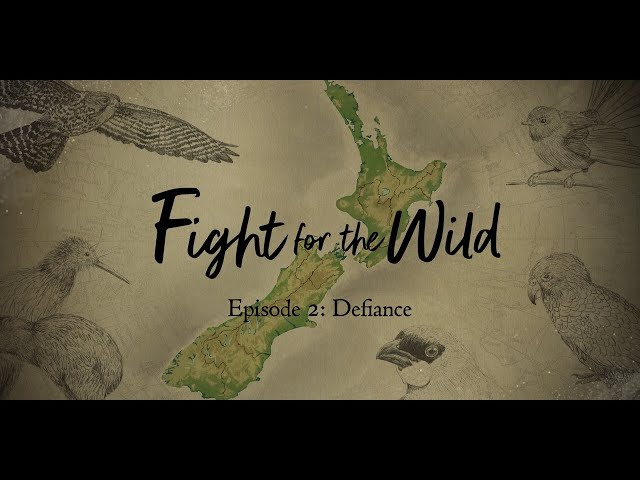 Fight for the Wild | 2: Defiance | RNZ