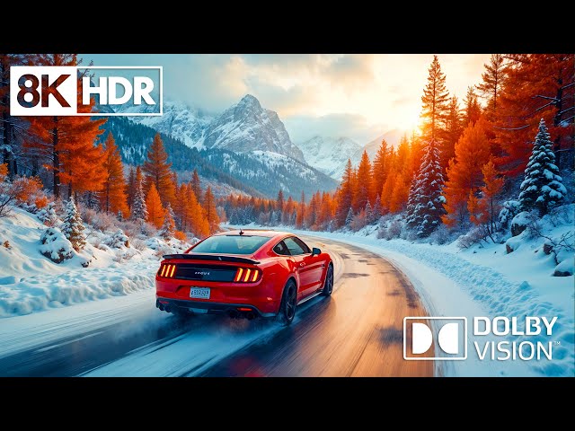 눈부신 8K HDR Dolby Vision 60FPS로 깨어나는 자연