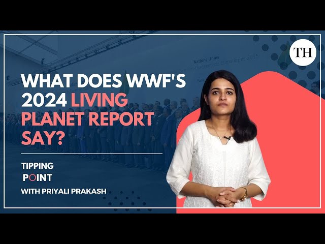 What does WWF’s 2024 Living Planet Report say? | Tipping Point