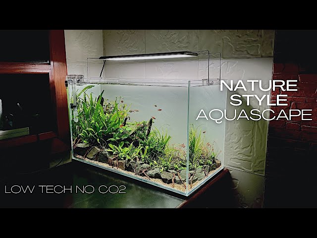 HOW TO MAKE A 2 FEET PLANTED AQUARIUM | STEP BY STEP SETUP | NO CO2 | AQUASCAPING TUTORIAL