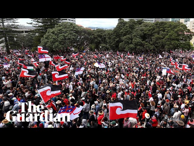 Thousands march on NZ parliament in protest against change to Māori treaty bill