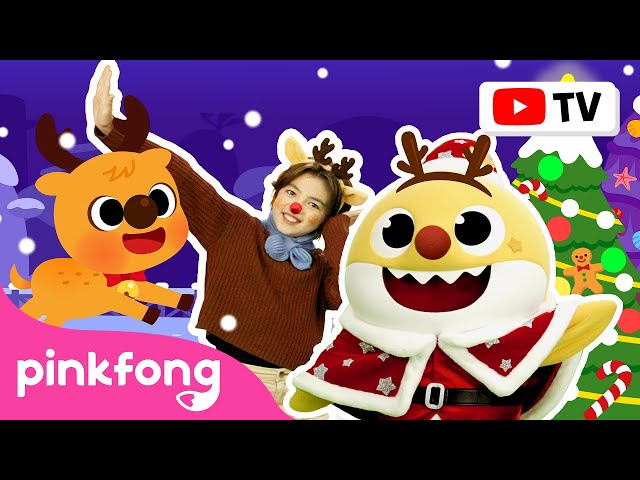 The Red Nosed Baby Shark | 🎄 Christmas Dance Along with Lyrics [4K] | Pinkfong Baby Shark