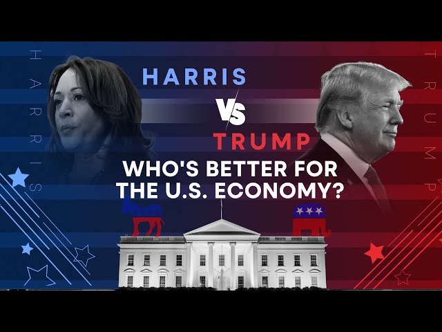 Is Donald Trump or Kamala Harris Better for the Economy? | WION Wideangle