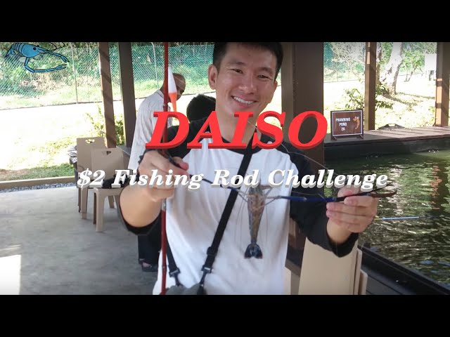 Singapore Prawning - Daiso $2 Rod Challenge