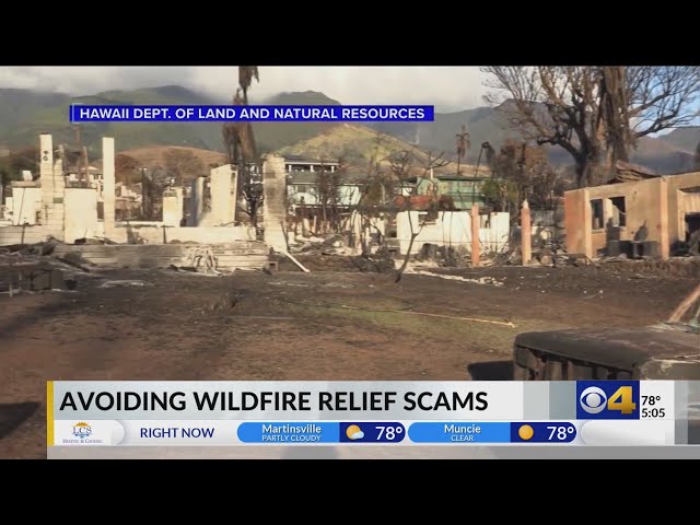 How to avoid scams when donating money to Hawaii wildfire victims