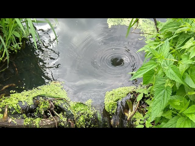 Whirlpool near Beaver Dam (VR)