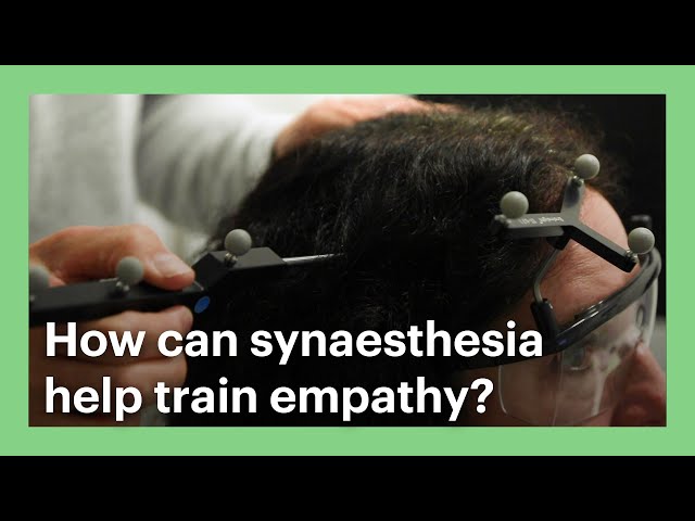 How can Synaesthesia help train empathy?