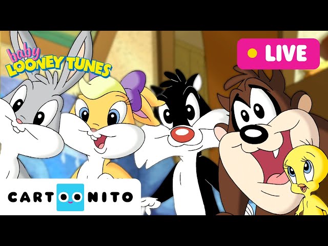 🔴 LIVE: BABY LOONEY TUNES | 24 Hours Compilation | Cartoonito | Cartoons For Kids