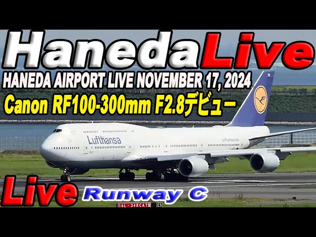 🔵 Live 羽田空港ライブ Haneda Airport Live November 17, 2024 生中継 2024年11月17日 羽田空港ライブカメラ