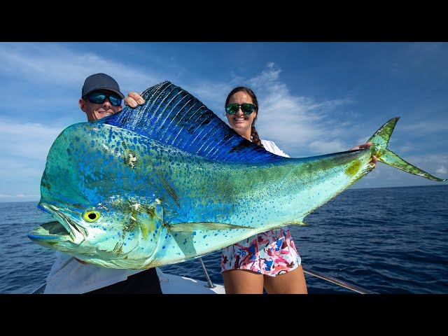 MASSIVE Mexican Mahi Mahi! Catch Clean Cook