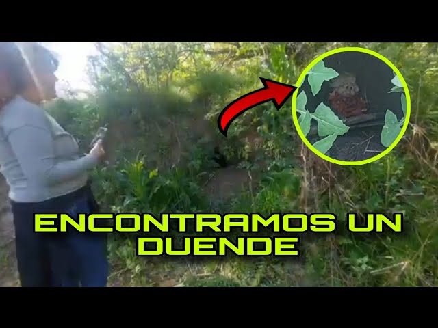 ENCONTRAMOS UN DUENDE REAL EN BOSQUE DE BUENOS AIRES #duendes #elfo #videoviral #misterio #urbex