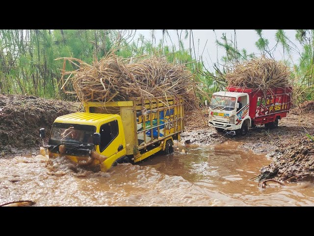 Mobil Truk Rc Oleng Canter Fuso, Dump truck Isuzu NMR Elf Oleng Muatan Berat Tergguling Di Tanjakan