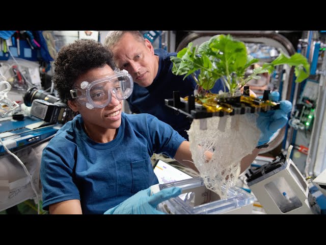 NASA ScienceCasts: Station Science 101 - Advancing Plant Science with Space Gardens