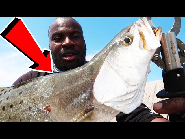 CHASING TROUT AND MDLR FISHING ON THE QUINTANA JETTY *DANGROUS*  (CATCH CLEAN COOK)