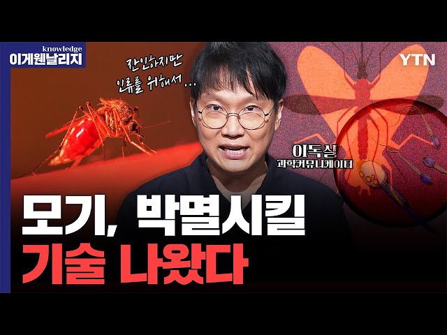 "열대야 버틴 끈질긴 모기" 멸종시킬 방법은 수컷의 '생식 기능' 제거? [날리지인터뷰]