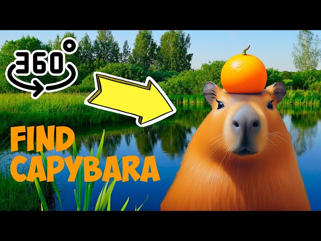 360 Find a capybara in a 3D world. 3 searches of 10 seconds. Set the video quality to maximum.