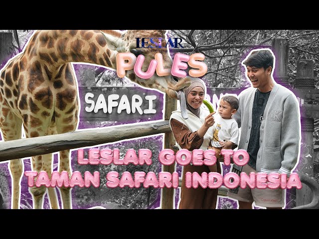 PULES : CERIANYA ABANG L KASIH MAKAN HEWAN SAMBIL WISATA FLORA DAN FAUNA DI TAMAN SAFARI!!!  PART 1