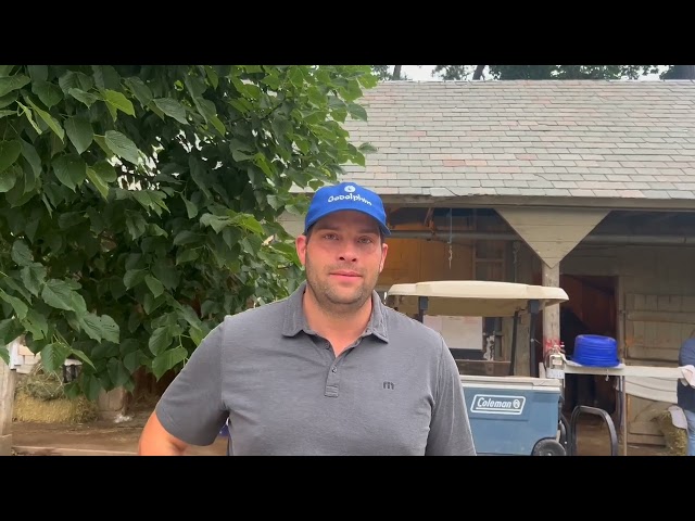 Trainer Brad Cox on Idiomatic, Nash on Belmont Stakes weekend 2024