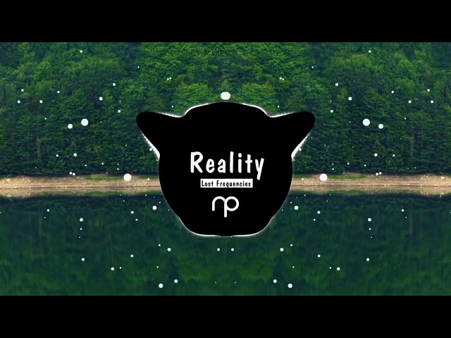 Reality _ NP Lyrics [1 hour]