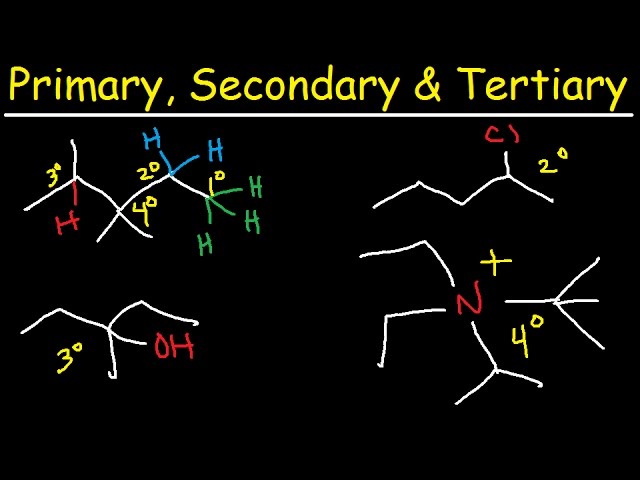 Primary, Secondary, Tertiary, & Quarternary Hydrogen and Carbon Atoms