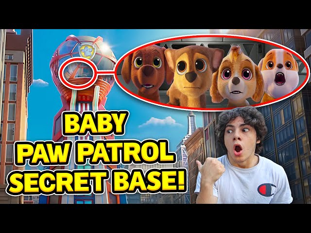 DRONE CATCHES BABY PAW PATROL'S SECRET BASE IN REAL LIFE!! (BABY CHASE AND SKYE)