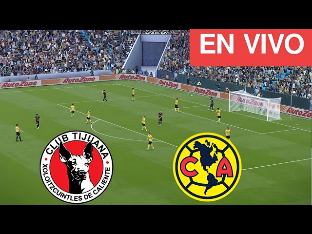 🔴EN VIVO : AMERICA vs TIJUANA | Semifinal Liga MX Apertura 2024 |